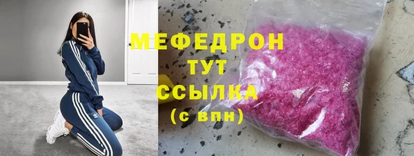 молекула духа Богородицк