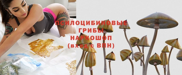 дурь Бронницы