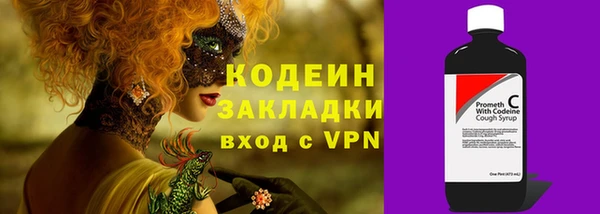 молекула духа Богородицк