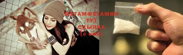 твердый Богданович