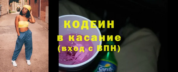 молекула духа Богородицк