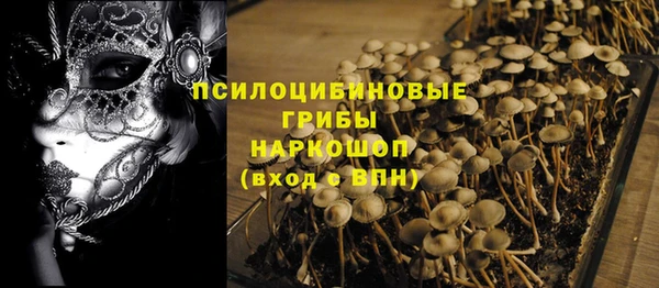 каннабис Покачи