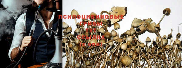 дурь Бронницы