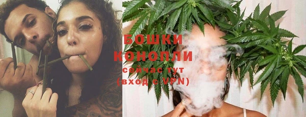 молекула духа Богородицк