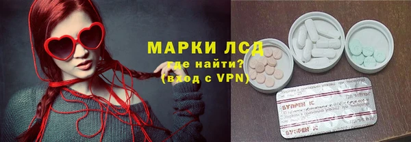 твердый Богданович