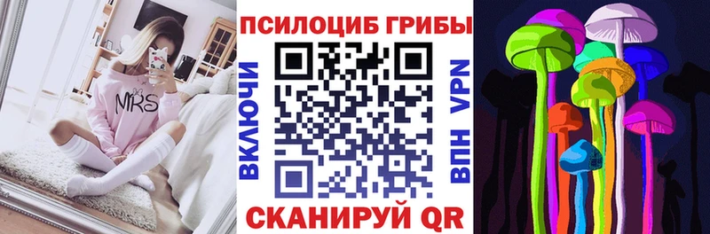 Псилоцибиновые грибы GOLDEN TEACHER  MEGA сайт  Лосино-Петровский  купить закладку 